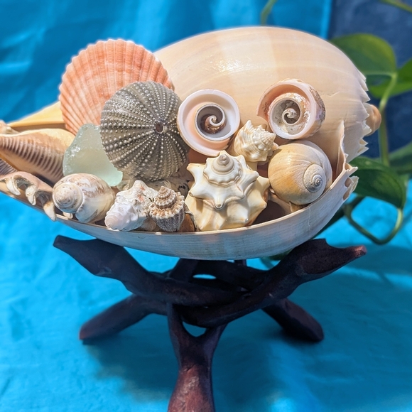 Decorative SeaScape on Wooden Stand - Picture 5 of 7